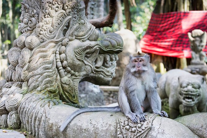 1-Day Ubud Tours All-Inclusive - Lunch plus a rice-terraces view: simple, but it matters