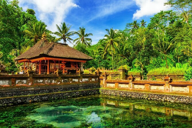 1-Day Ubud Tours All-Inclusive - Coffee plantation finale: tasting Bali coffee and herbal teas