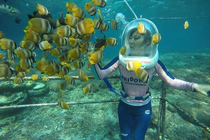 30 Minutes Ocean Walking in Nusa Dua, Bali - Key highlights you should know