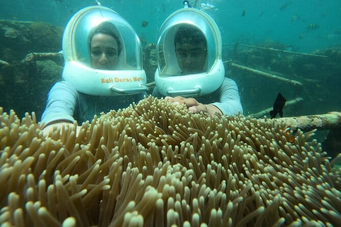 30 Minutes Ocean Walking in Nusa Dua, Bali - Who should book (and who should skip it)