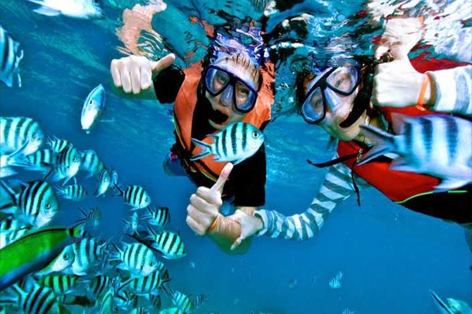 (ALL- IN) Bali Snorkeling Blue Lagoon And Tanjung Jepun - Key highlights at a glance