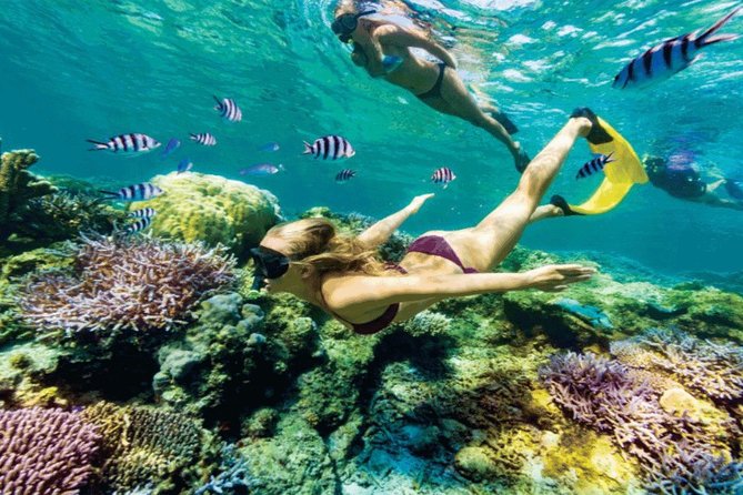 (ALL- IN) Bali Snorkeling Blue Lagoon And Tanjung Jepun - Blue Lagoon Beach at Padangbai: coral vibes plus a real lunch window