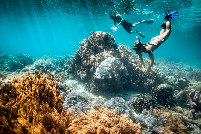 All Inclusive Bali Blue Lagoon and Tanjung Jepun Snorkeling - Key things I’d focus on before you go