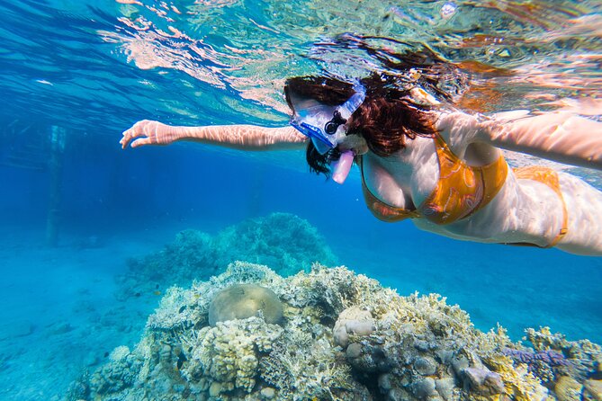 All Inclusive Bali Blue Lagoon and Tanjung Jepun Snorkeling - Price and Logistics: What $48 Buys You in Real Life