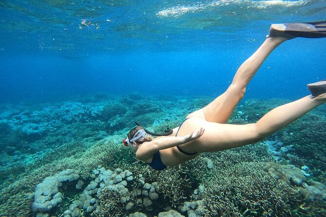 All Inclusive Bali Blue Lagoon and Tanjung Jepun Snorkeling - Blue Lagoon Snorkeling: Photos, Macro Moments, and the Crowd Reality