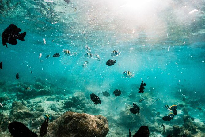 All Inclusive Bali Blue Lagoon and Tanjung Jepun Snorkeling - Gear, Glasses, and Guide Support: How They Make It Easier