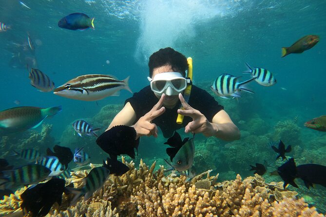 All Inclusive Bali Blue Lagoon and Tanjung Jepun Snorkeling - Lunch, Showers, and Changing Rooms: The Part People Forget