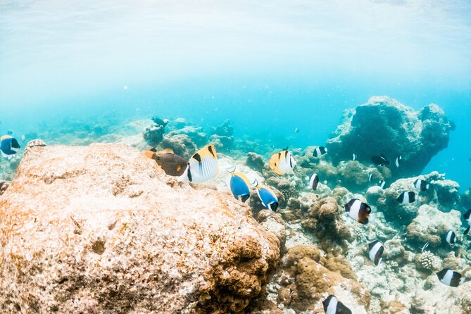 All Inclusive Bali Blue Lagoon and Tanjung Jepun Snorkeling - What You Might Want to Bring (So Your Day Goes Smooth)