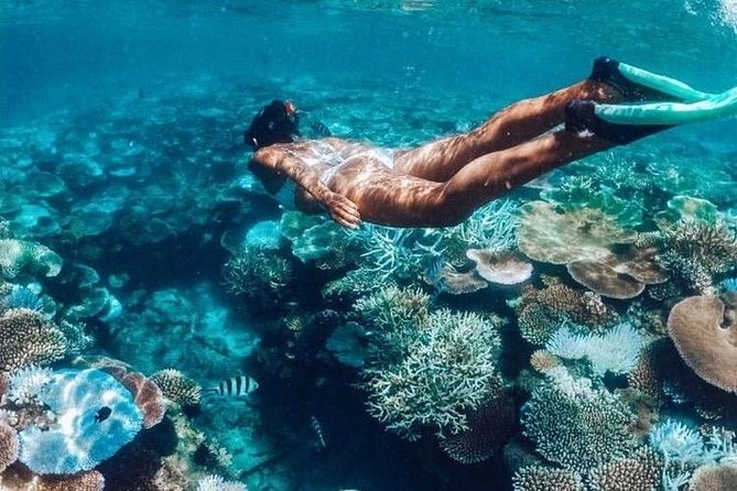 All Inclusive : Bali Blue Lagoon Snorkeling, Lunch, and Transport - Getting from Ubud to Padangbai: time on the road, time in the water