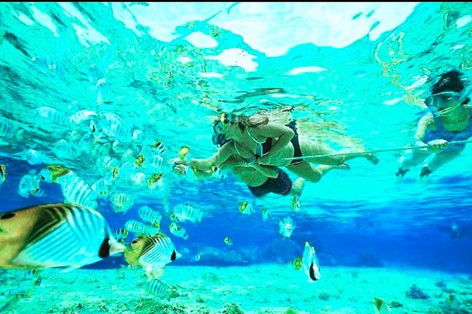 All Inclusive : Bali Blue Lagoon Snorkeling, Lunch, and Transport - Snorkeling gear, instructor support, and what safety should look like