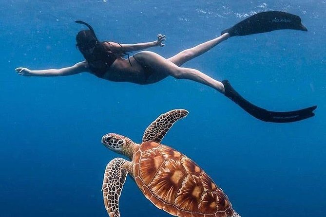 All Inclusive : Bali Blue Lagoon Snorkeling with Lunch &Transfers - What makes it worth it (and what to watch)
