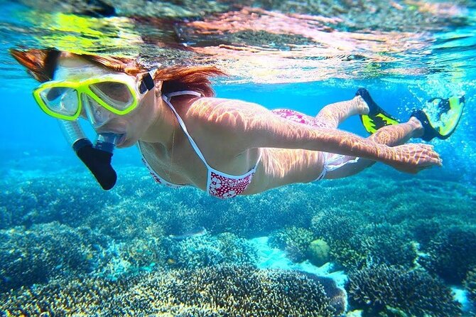 All Inclusive : Bali Blue Lagoon Snorkeling with Lunch &Transfers - Timing on the water: what 45–60 minutes feels like in real life