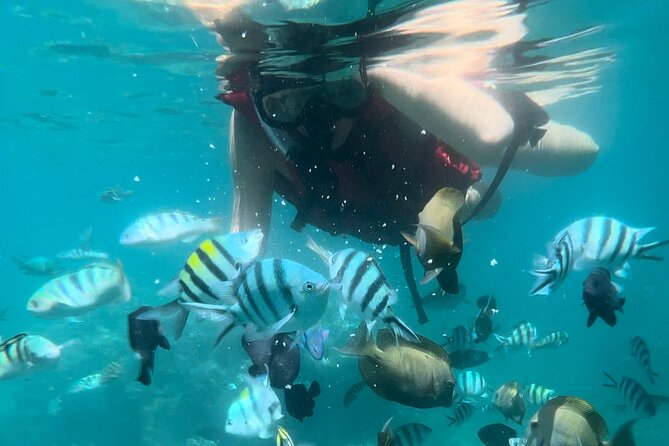 All Inclusive : Bali Blue Lagoon Snorkeling with Lunch &Transfers - Hotel pickup and transfers: the hidden value of not dealing with Bali traffic