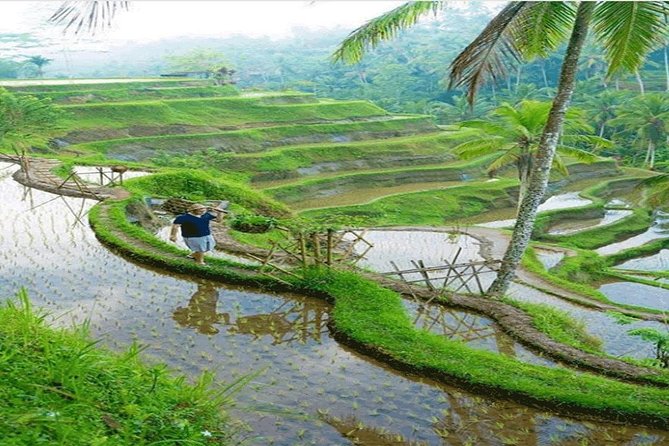 ALL INCLUSIVE - Bali Gate Of Heaven Tour - Coffee process stop: what to expect at the end of the day