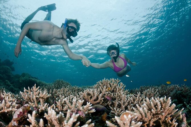 All Inclusive Bali Scuba Diving at Tulamben with Lunch -Transport - Key things I’d count on (before you go)