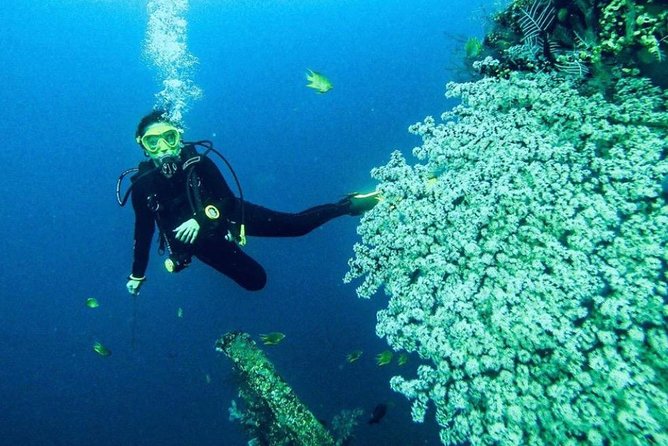 All Inclusive Bali Scuba Diving at Tulamben with Lunch -Transport - Choosing the Underwater Spot: Blue Lagoon, Bias Tugel Beach, Shark Point