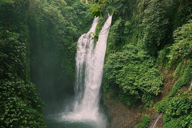 All Inclusive : Jumping Sliding at Aling- Aling Waterfall - Handara Gate - Lunch - Lunch Break and Coffee Plantation Stop: Fuel Plus Local Flavor