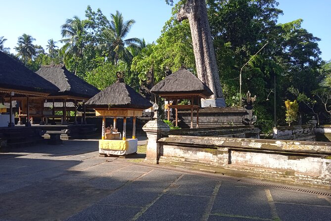 [All Inclusive] The Soul of Bali: Temples, Art & Traditions Tour - Ubud Traditional Art Market: Browse With Purpose
