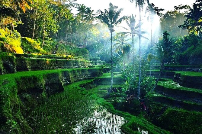 [All Inclusive] The Soul of Bali: Temples, Art & Traditions Tour - Suwat Waterfall: The Easier Walk With Cooler Atmosphere