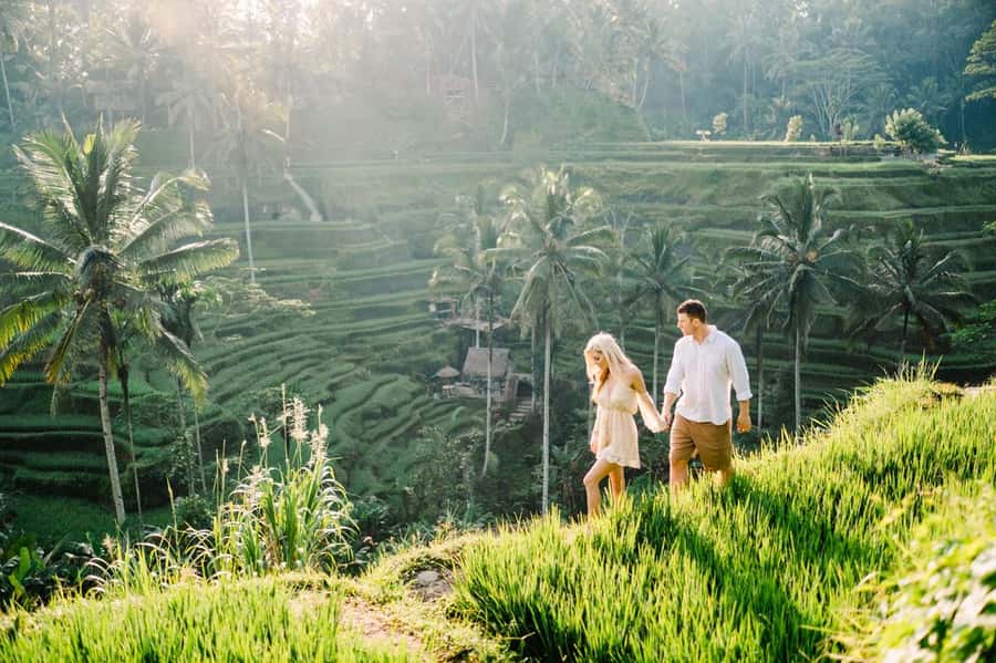 All Inclusive Ubud Private Day Tour - Key Points Worth Your Time