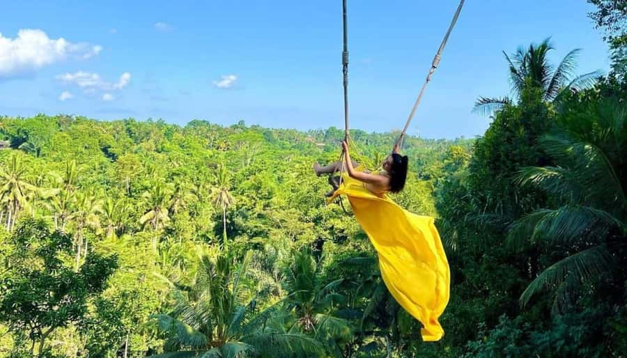 All Inclusive Ubud Private Day Tour - Tegalalang Rice Terrace: UNESCO Views Plus Time to Move Slow