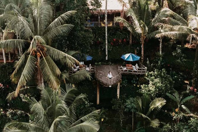All-Inclusive Ubud Private Tour - Tirta Empul Temple: Holy Springs and Water Purification