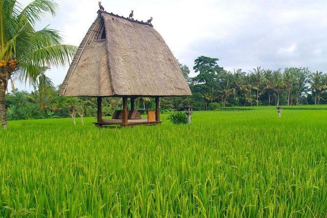 All-Inclusive Ubud Private Tour - Price and Value: Is $100 Worth It for This Much Ubud?
