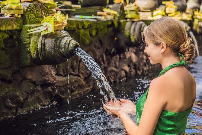 All-Inclusive Ubud's Wonder Day Tour - Key things I’d bet on (before you book)
