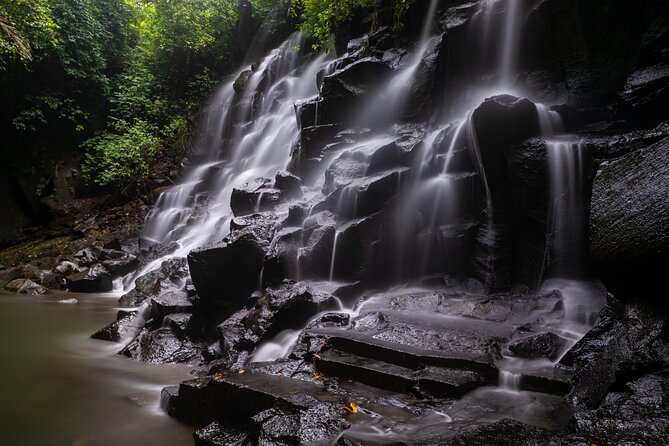 All-Inclusive Ubud's Wonder Day Tour - Price and value: where the $29 really lands