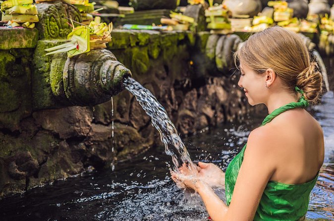 All-Inclusive Ubud's Wonder Day Tour - Stop 1: Tegallalang Rice Terrace (Ceking) and the optional swing