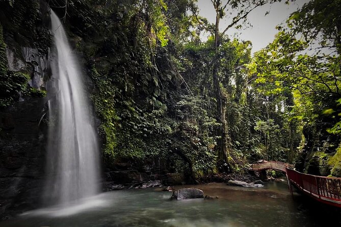 All-Inclusive Ubud's Wonder Day Tour - Stop 2: Ulu Petanu Waterfall for mist and a real dip