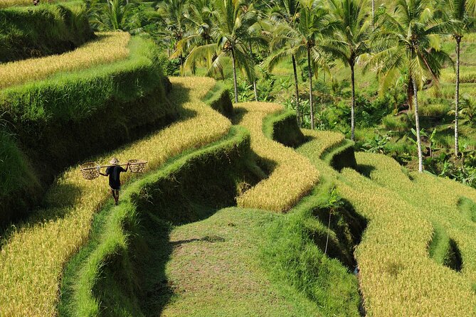 All-Inclusive Ubud's Wonder Day Tour - Stop 5: Kanto Lampo for tiered rocks and iconic cascades
