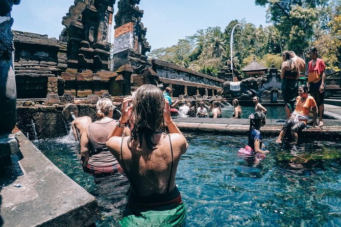 All Inclusive Ubud Tour with 15 Sitter Van - Stop 2: Tegalalang Rice Terrace Walk and What to Look For