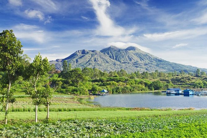 All Inclusive Ubud Tour with 15 Sitter Van - Stop 3: Kintamani Highland Lookout Over Mount Batur and Lake