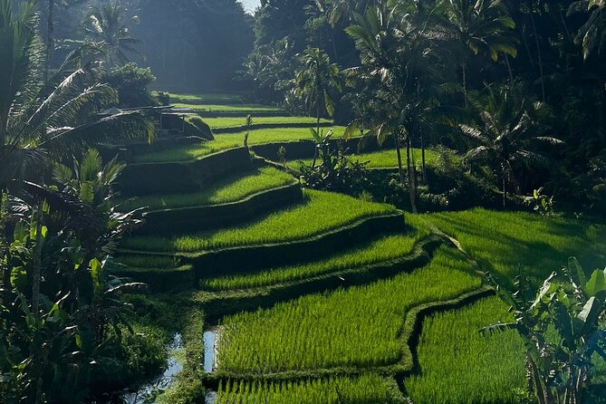 All Inclusive Ubud Tour - Waterfalls in one day: Ulu Petanu, Kanto Lampo, and Tukad Cepung