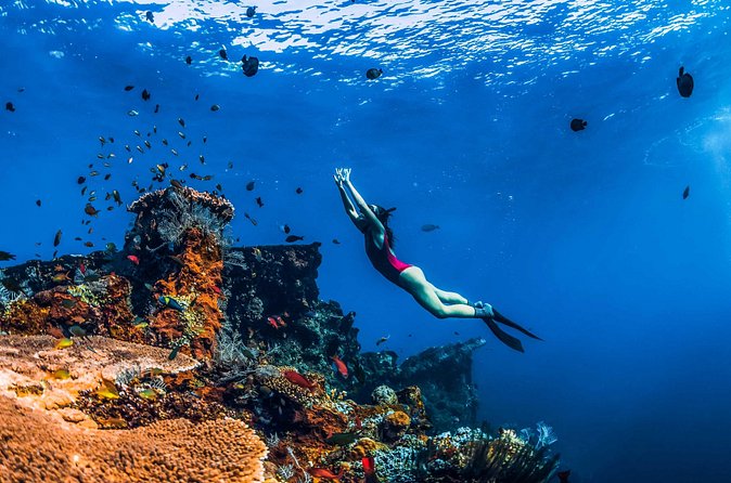Amed Bali Snorkelling: Japanese Shipwreck & Vienna Beach Tour - Snorkeling gear, turtles, and currents: how to set yourself up
