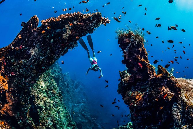 Amed Bali Snorkelling: Japanese Shipwreck & Vienna Beach Tour - Marine-life etiquette: why the guide’s rules matter