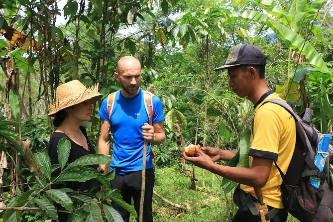 Authentic hike in the forest with lunch at the inhabitant - Why This Ubud Forest-to-Home Lunch Feels Like Real Bali