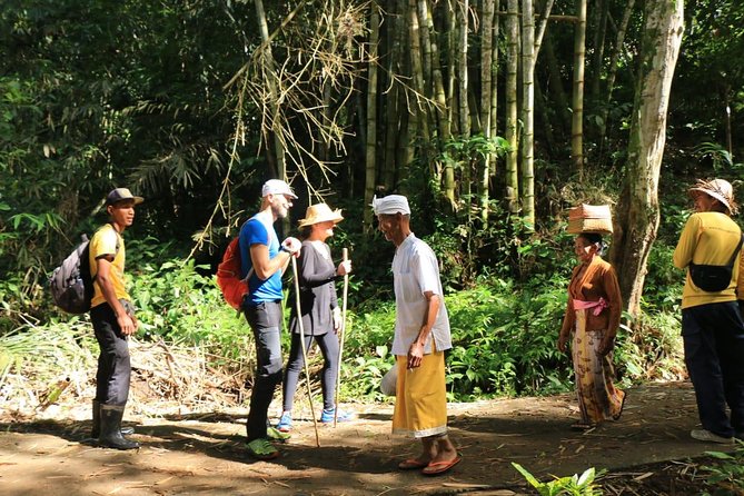 Authentic hike in the forest with lunch at the inhabitant - Price and Value: Is $75.97 Worth It?