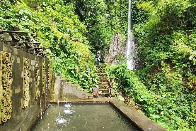 AWay From Home - Bali Village Tour - Price and Logistics: What $189 Actually Buys You
