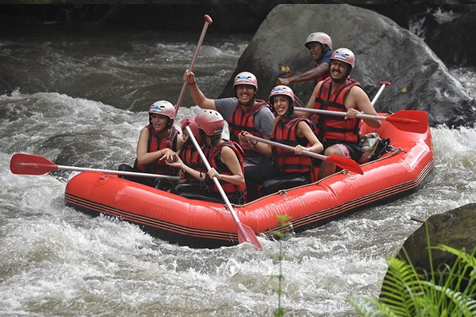Ayung Rafting Ubud (Include Lunch & Return Transportation) - Ayung River class II–III rapids: what the 12 km run really means