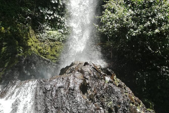 Ayung Rafting Ubud (Include Lunch & Return Transportation) - On the water: what paddling, rapids, and waterfalls feel like