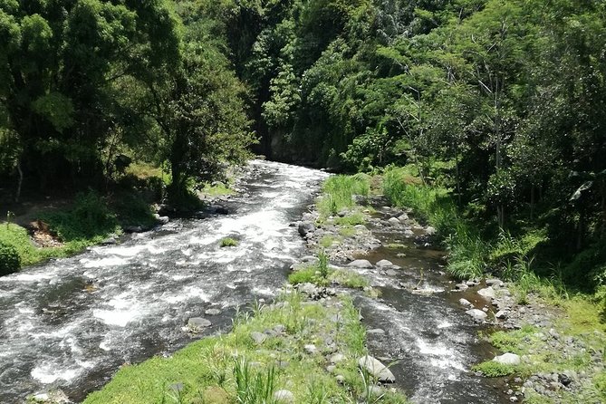 Ayung Rafting Ubud (Include Lunch & Return Transportation) - Value check: is $75 worth it for Ayung rafting with transfers and lunch?