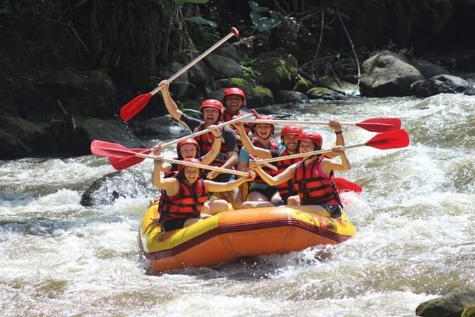 Ayung River Half-Day White Water Rafting Bali in Ubud - Ayung River rapids: Class IV energy with real coaching