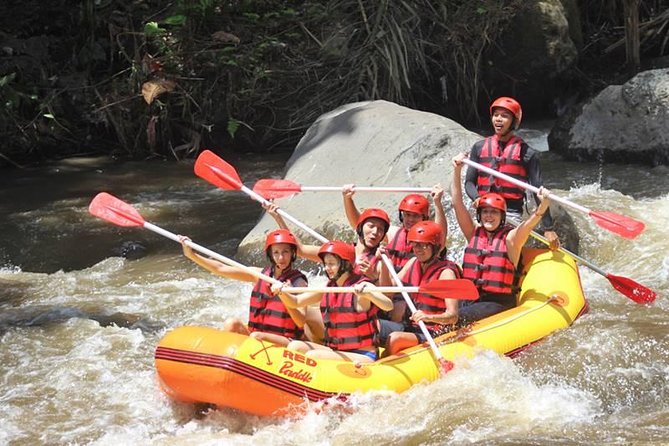 Ayung River Half-Day White Water Rafting Bali in Ubud - Lunch after rafting: the included buffet that keeps the day on track