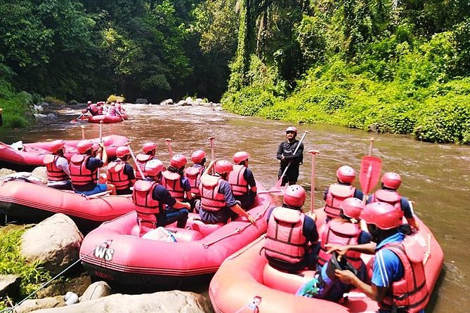 Ayung River Half-Day White Water Rafting Bali in Ubud - Pickup, drivers, and the little extras that change your mood