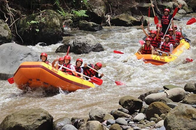 Ayung River Half-Day White Water Rafting Bali in Ubud - Price and value: is $28 fair for what you get?