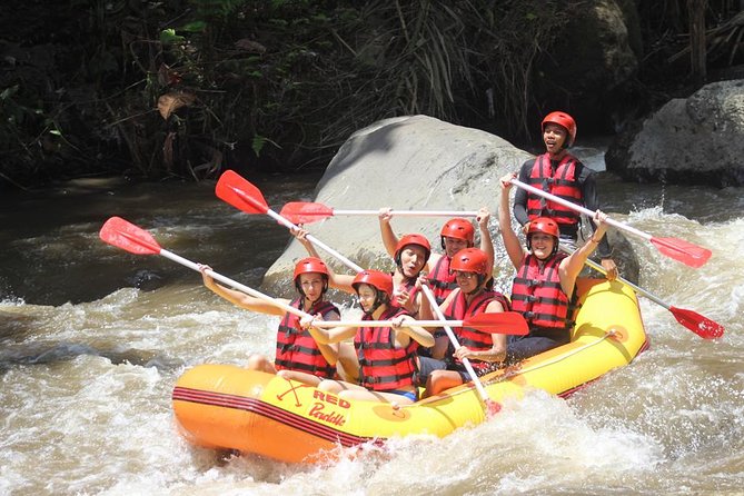 Ayung River - White Water Rafting Bali - Key Highlights