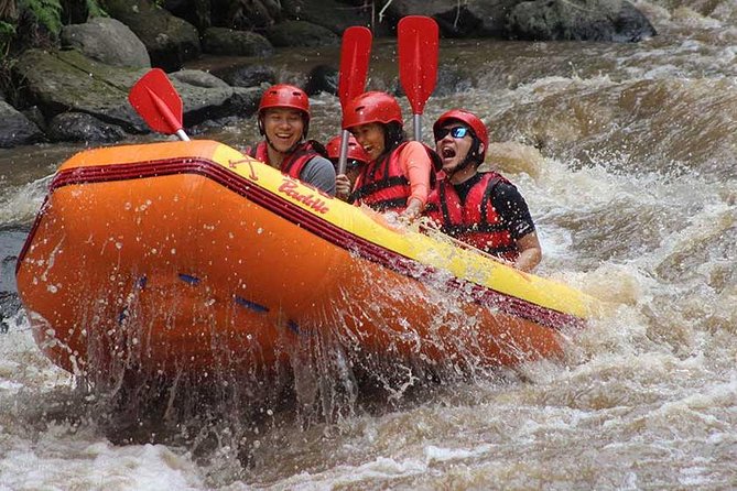 Ayung River - White Water Rafting Bali - Ayung River Rafting in Ubud: What Makes It Fun