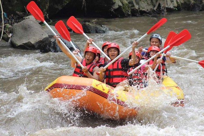 Ayung River - White Water Rafting Bali - Two Hours of Rapids: Grade II–III, Scenery, and Water Level Changes